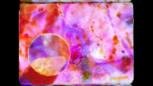 Preis für künstlerische Forschung der Schering Stiftung 2026