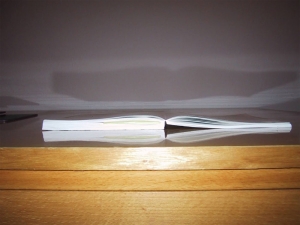 Publikationsstipendium der ARTHENA FOUNDATION